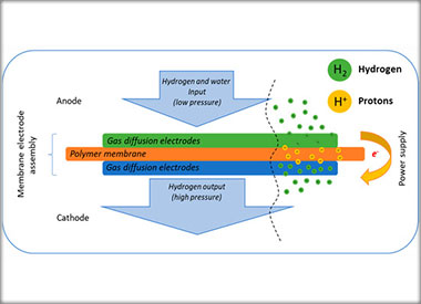 Catalytic Activity of Pt/Pd Mono-and Bimetallic Catalysts in Electrochemical Hydrogen Pump/Compressor